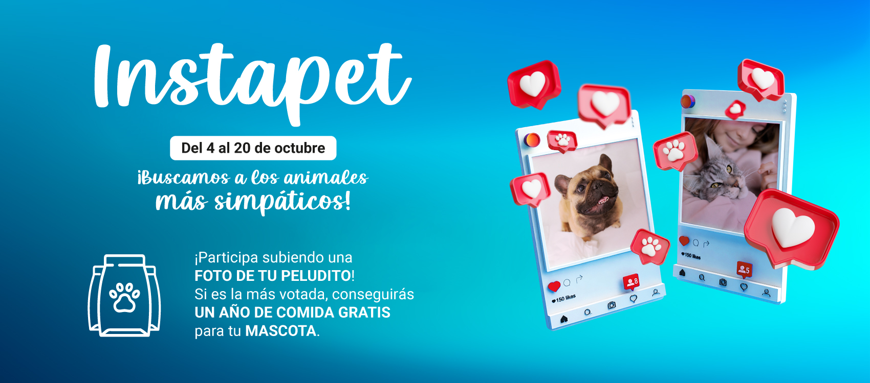 ep_instapet_web_escritorio-1